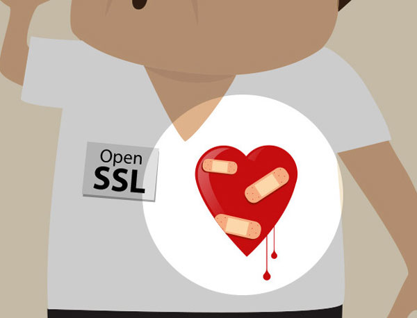 The Heartbleed Security Fiasco – 4 Steps Every User Can Take Now To Salvage Some Security
