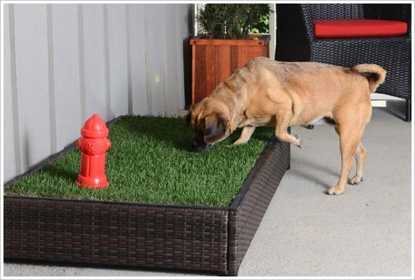 Porch Potty – the first automated dog litter box