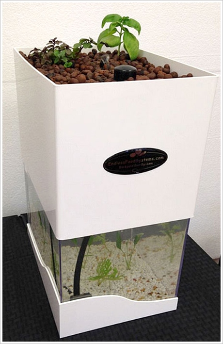 TableTop Aquaponics – grow your own food the healthy sustainable way