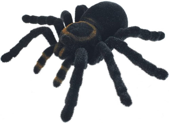 Radio Control Tarantula – aka how to avoid visitors on Halloween