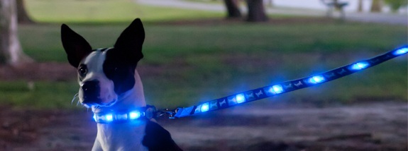 Dog-E-Glow LED Light Up Dog Leash – the leash that safely lights your way