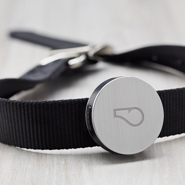 Whistle Wireless Activity Monitor for Dogs