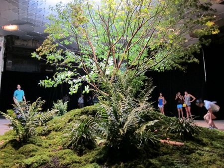 The Lowline - imagining the lower east side underground park