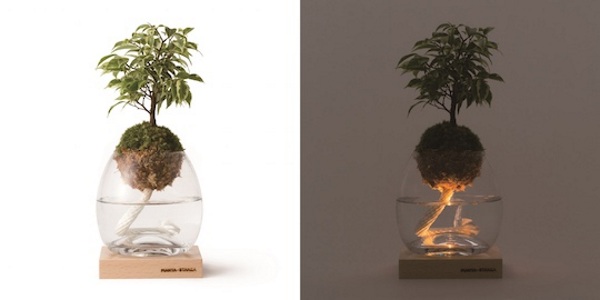Torch Plant Light Botanical Candle on and off