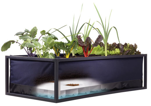 Noocity Growbed – self-sufficient urban gardening system