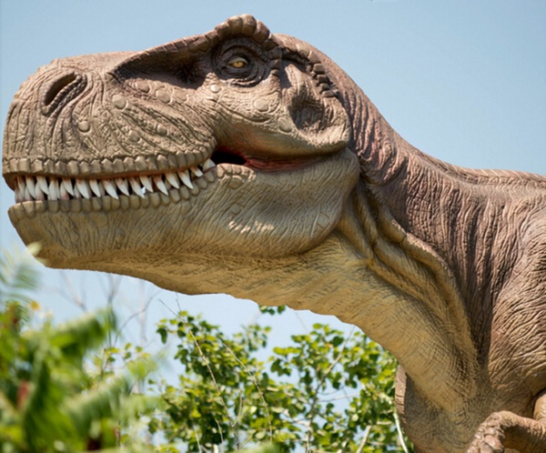 Realistic T-Rex Dinosaur – bring a little Jurassic World to your lawn