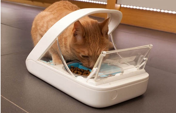 Surefeed Microchip Pet Feeder in use