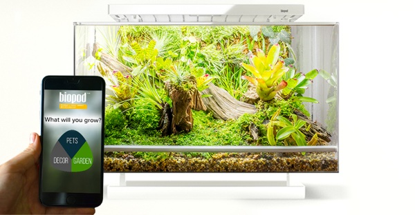 Biopod – simplify life with your scaly friends