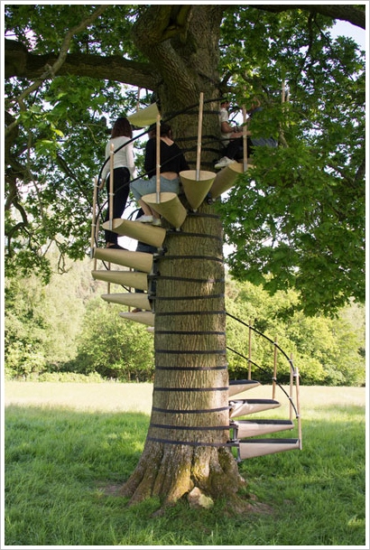 CanopyStair – now anyone can spend time up in the trees without turning monkey