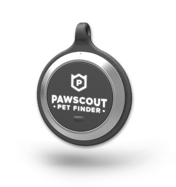 PawScout Pet Finder – keep your pet from being a statistic