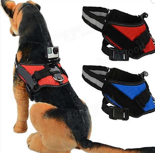 Adjustable Dog Fetch Harness Mount for GoPro – see the world from your dog’s point of view