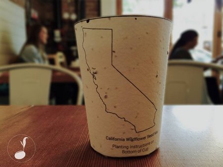 Biodegradable coffee cups that give you seeds to plant trees too!