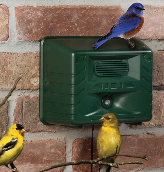 Ornithologist’s Song Bird Attractor – this box brings all the birds to the yard