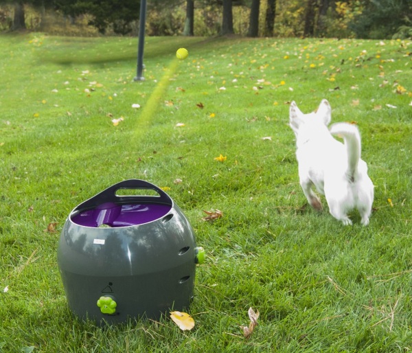 PetSafe Automatic Ball Launcher – play fetch without throwing a ball