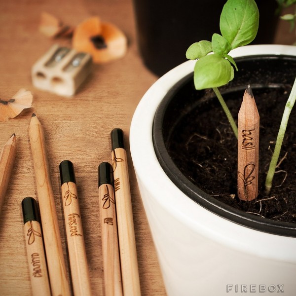Sprout Pencils – you can still create something with these pencils long after they don’t write anymore