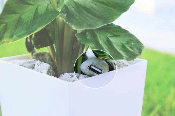 Bioo Lite – turn plant power into battery life with this pot