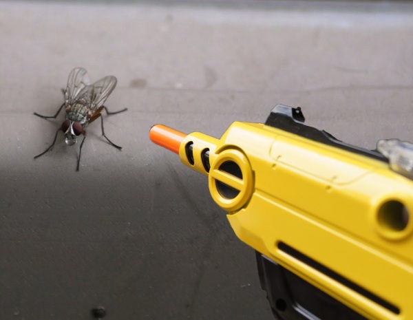 Bug-A-Salt 2.0 Fly Shooter – a new way to deal with a common pest