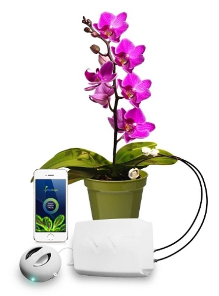 Phytl Signs EXPLORER – this device lets you see what your plants think about