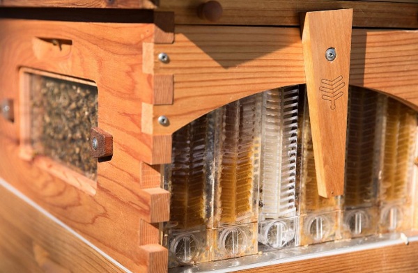 Flow Hive – a new, gentle way to get at that delicious honey