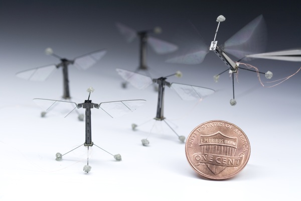 RoboBees – the mechanical solution to the honeybee dilemma