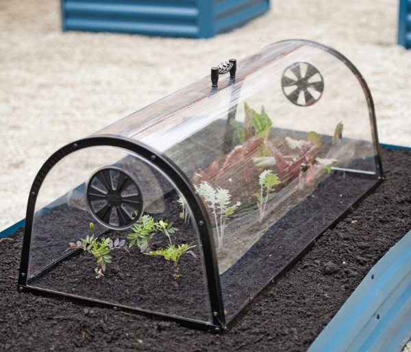 Row Garden Cloche – this mini greenhouse will keep your future food safe from four legged scavengers