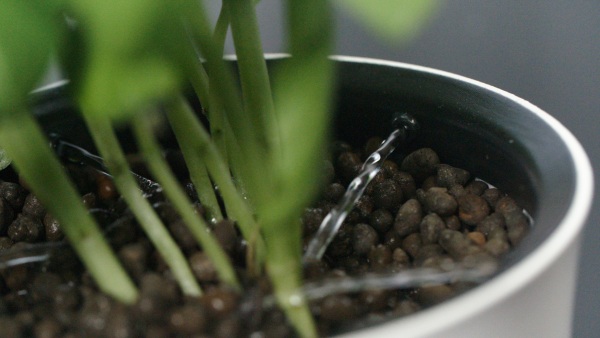 Botanium – stop killing your plants with this easy home hydroponic solution