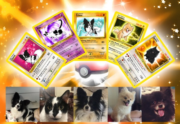 Personalized Pokemon Cards – turn your furry friend into a pokemon