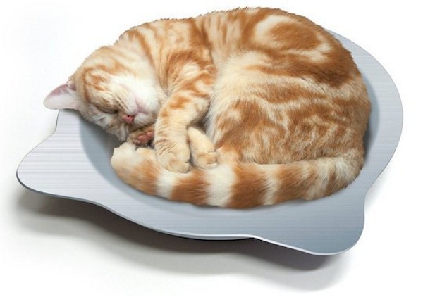 Cat Cool Pot Bed – free up your sink with this cute bed