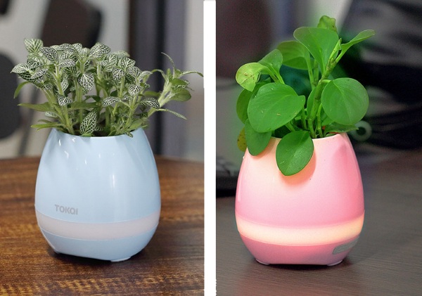 TOKQI K3 Smart Flowerpot – play the piano on leaves with this cool pot