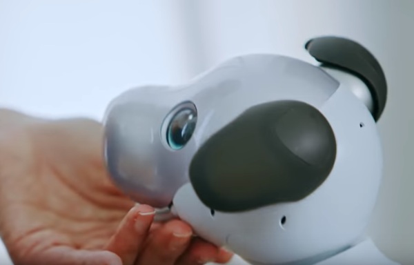 Aibo – remember that robot dog from the 90s? It’s back!