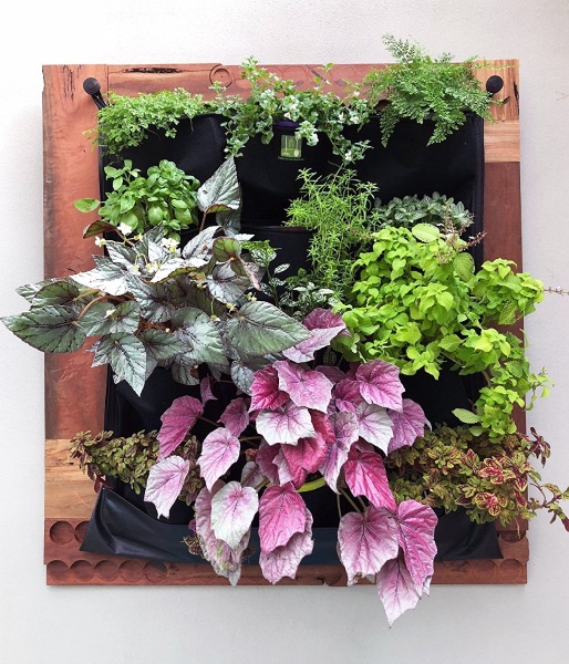 Living Green Wall – plant your garden right in your apartment