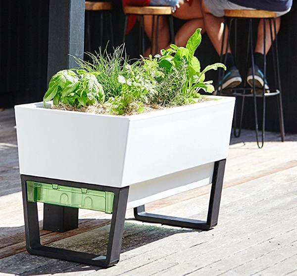 Urban Gardner – make sure you plants stay watered