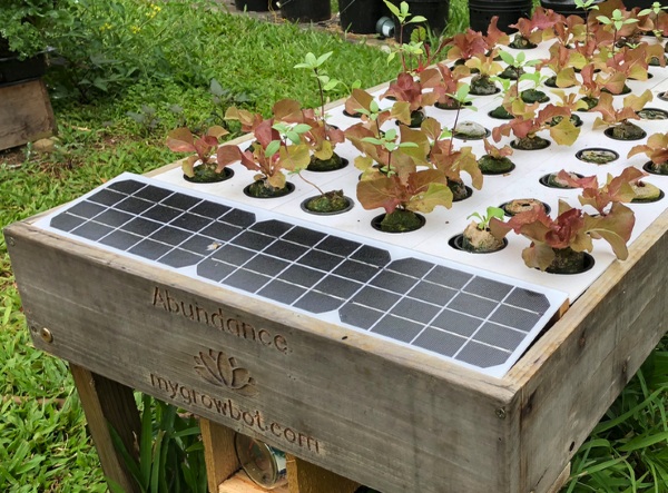 Growbot – this coffee table grows food
