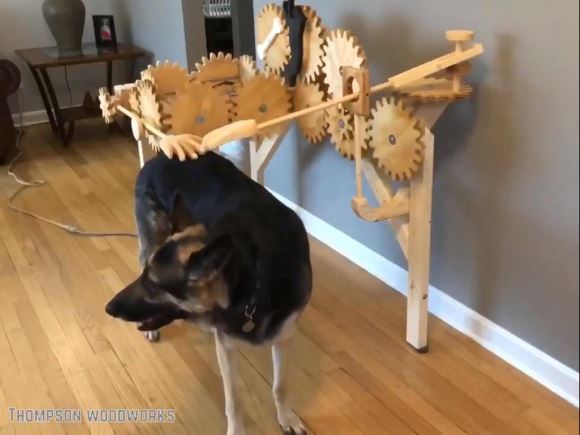 DIY Automatic Dog Petting Machine – why waste time when a gadget can make your dog happy for you?