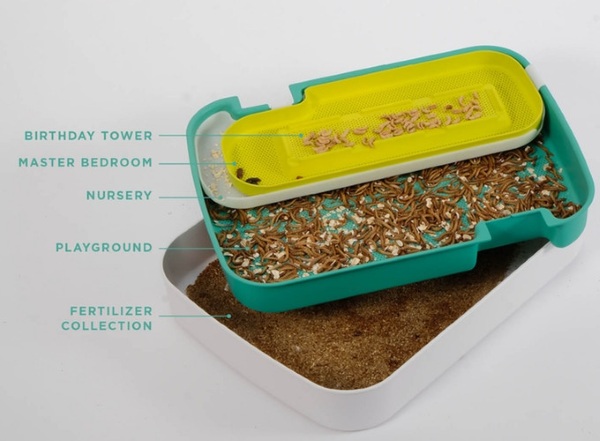 Hive 2.0 – grow your own mealworms and keep food waste out of landfills