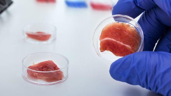 Lab grown meat in its current form could do more harm to the environment than good