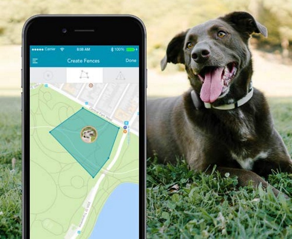 Findster Duo+ – no fee GPS pet tracker