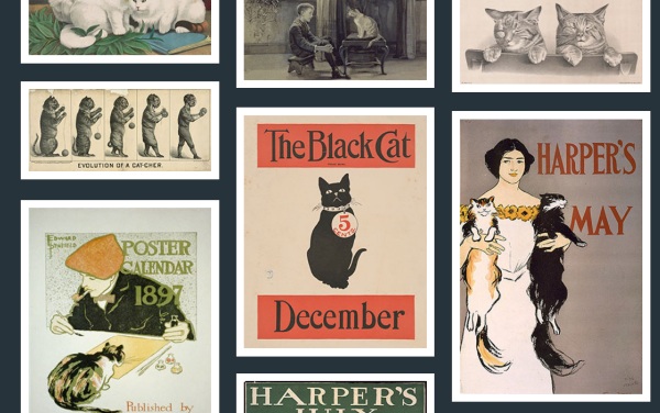 Free To Use Cat Image Library – check out all these vintage cats