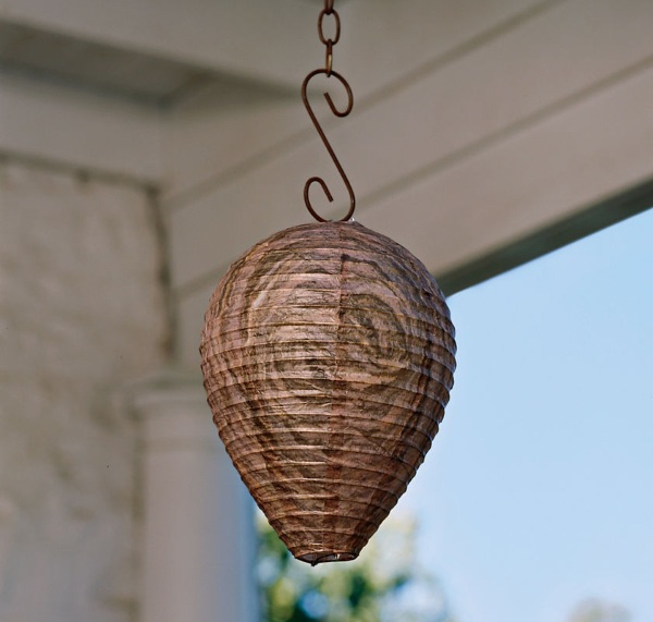 Fake Wasp Nest – keep wasps from nesting in your backyard