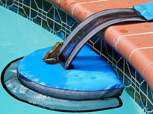 FrogLog – help animals escape your pool