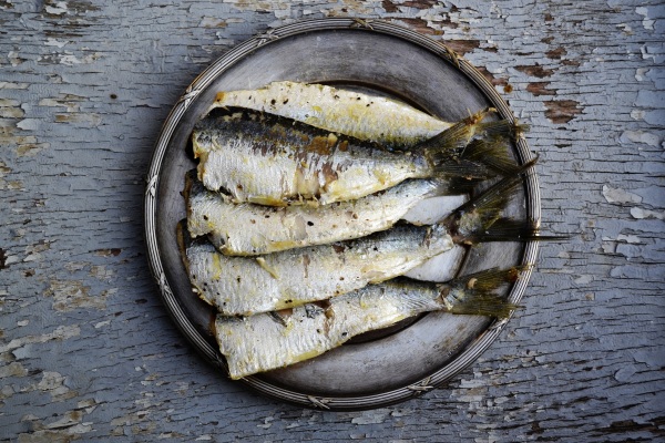 Sustainable Fish – how to eat seafood in the age of climate change