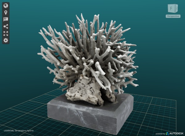 3D Smithsonian – print out some science and history for your home and office