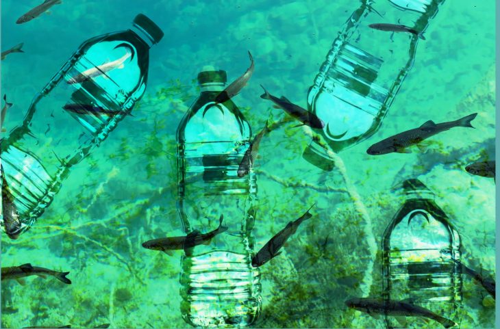 Plastic is Finding Its Way Everywhere – bottles washed up on remote island in the Atlantic