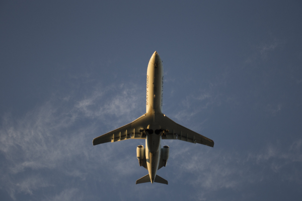 Biofuel for Flights – airlines investigate alternative fuel sources